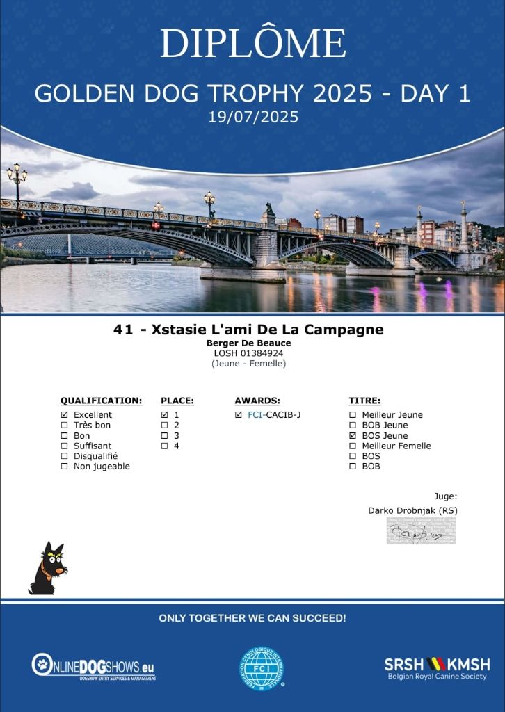 19 / 07 / 2025 - Golden Dog Trophy