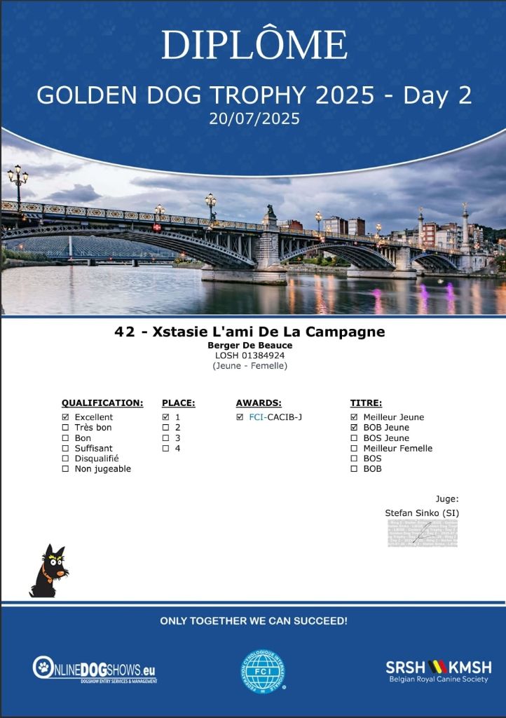 20 / 07 / 2025 - Golden Dog Trophy
